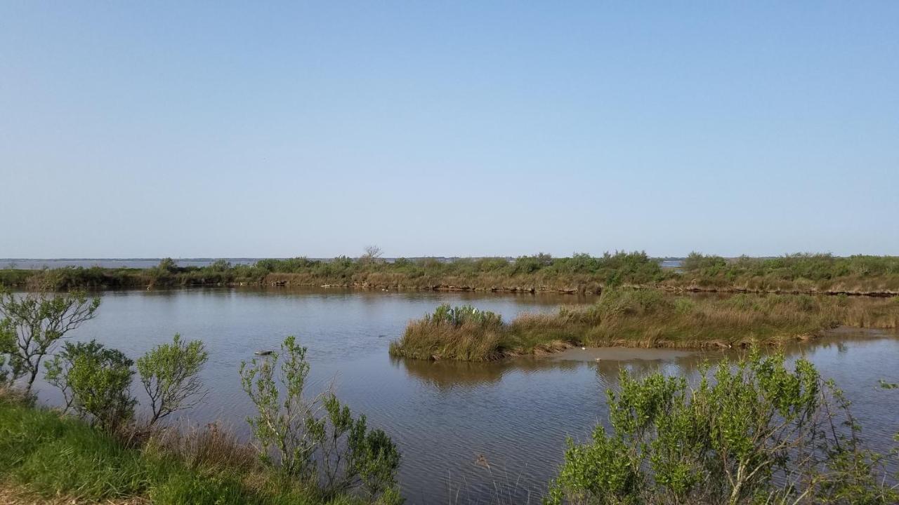 chambre d'hôtes RDC spa et petit-déjeuner en lisière de forêt Le Teich Exterior foto